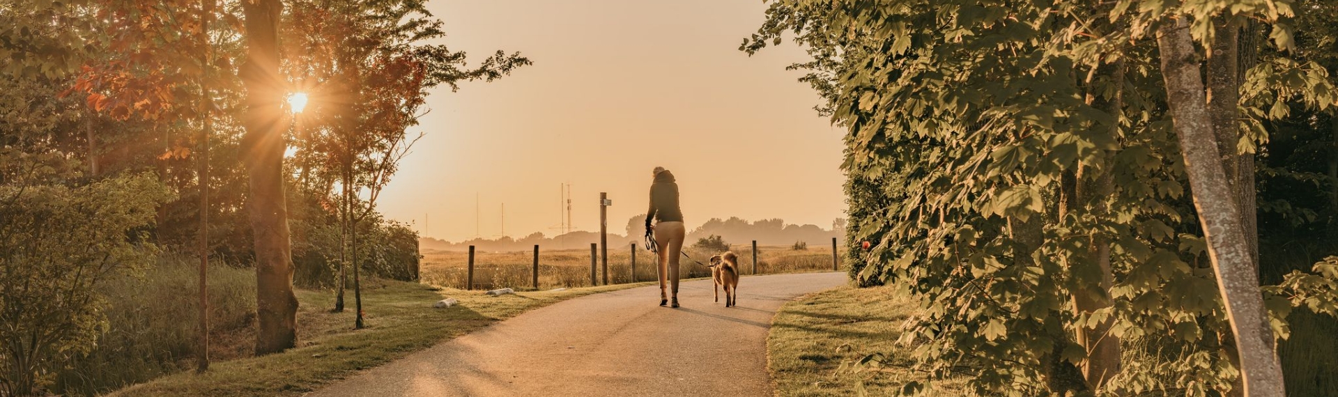 Wandeling met hond langs de duinen bij camping Kotestee in Ouddorp tijdens zonsondergang.