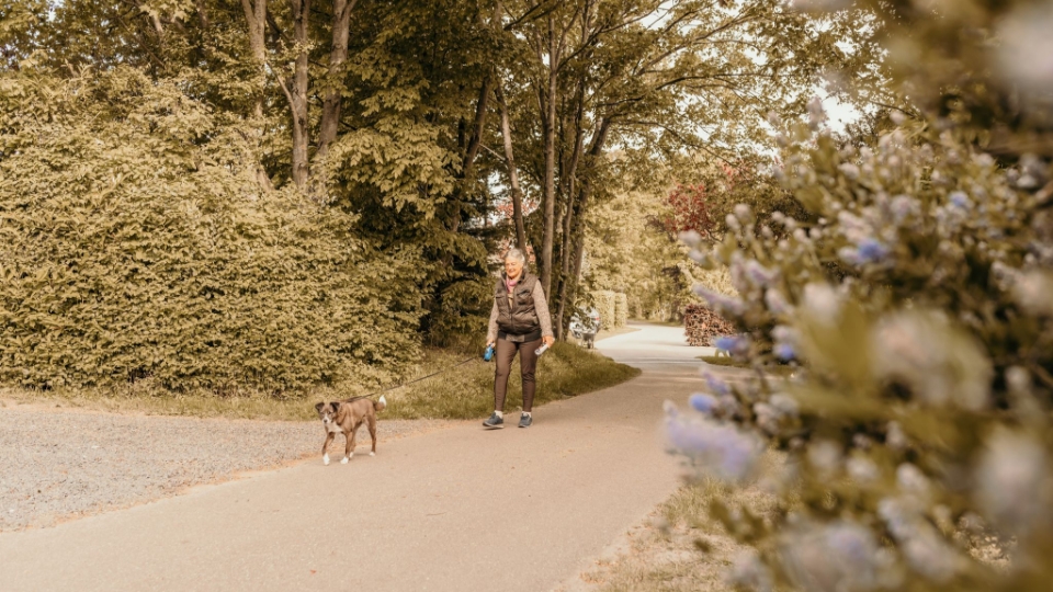 Campinggast wandelt met hond over het park van camping Kotestee in Ouddorp.