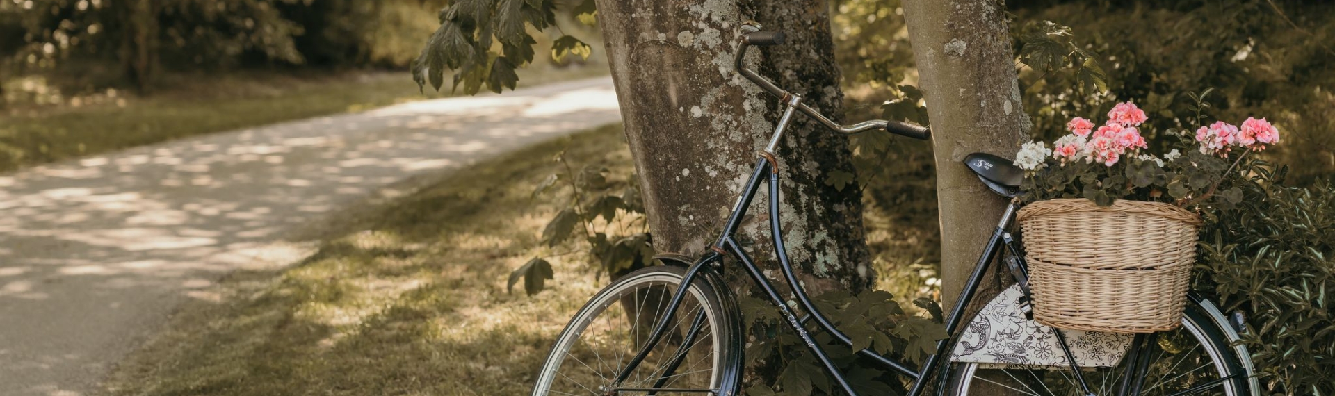Fiets met bloemen op camping Kotestee in Ouddorp.