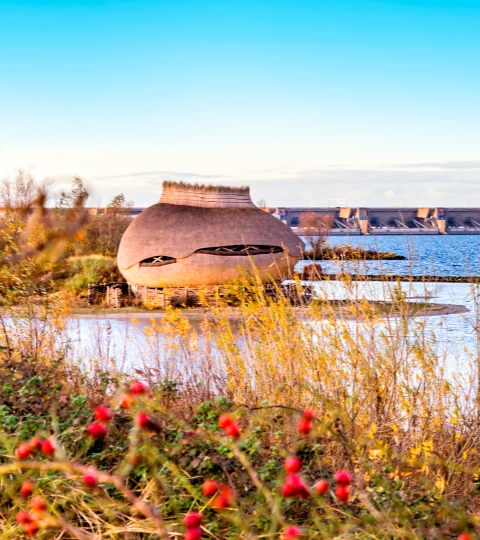 Vogelobservatorium Tij bij Stellendam aan het Haringvliet