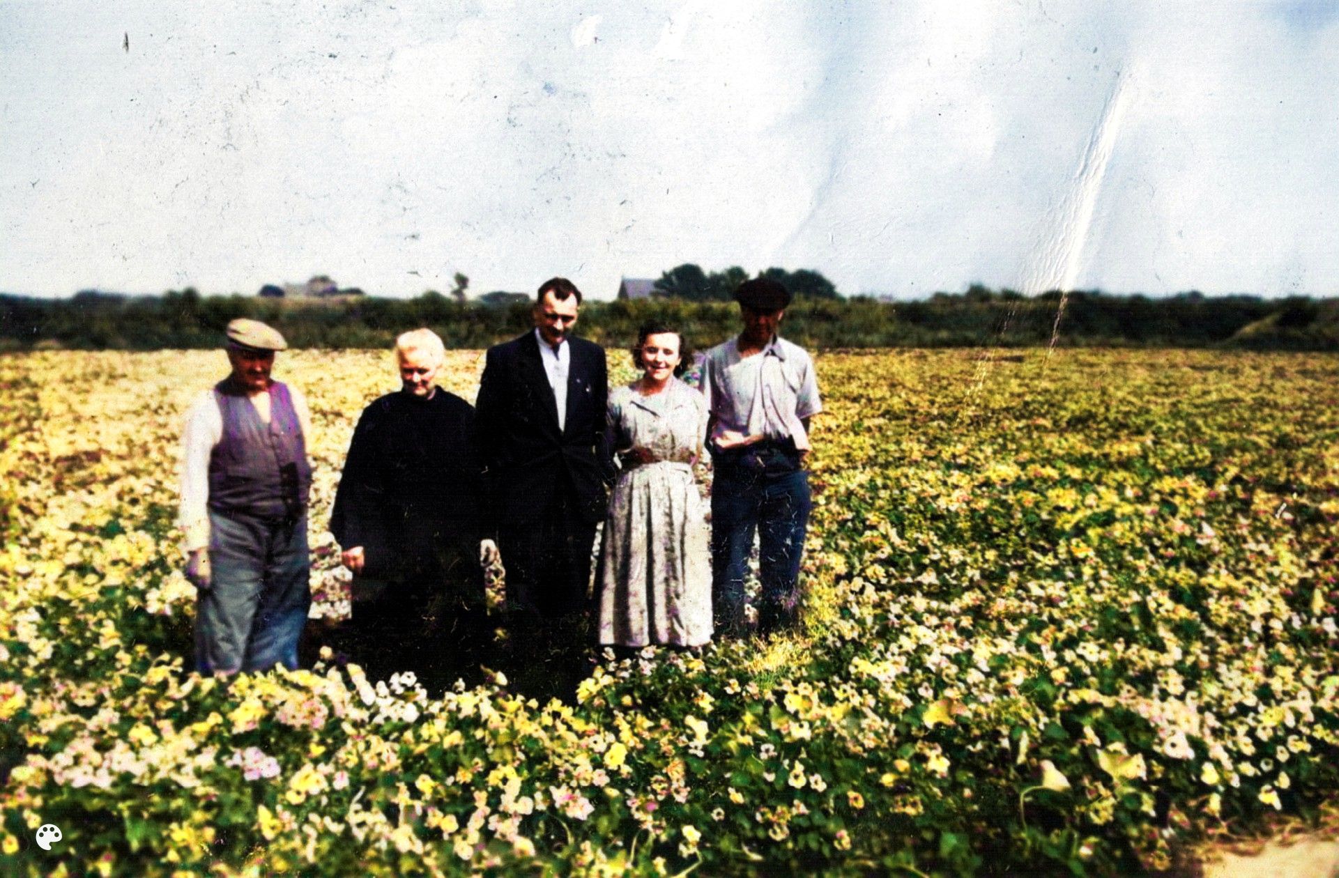 Portret van familie Verhage in de Oostindische Kers op de Kotestee