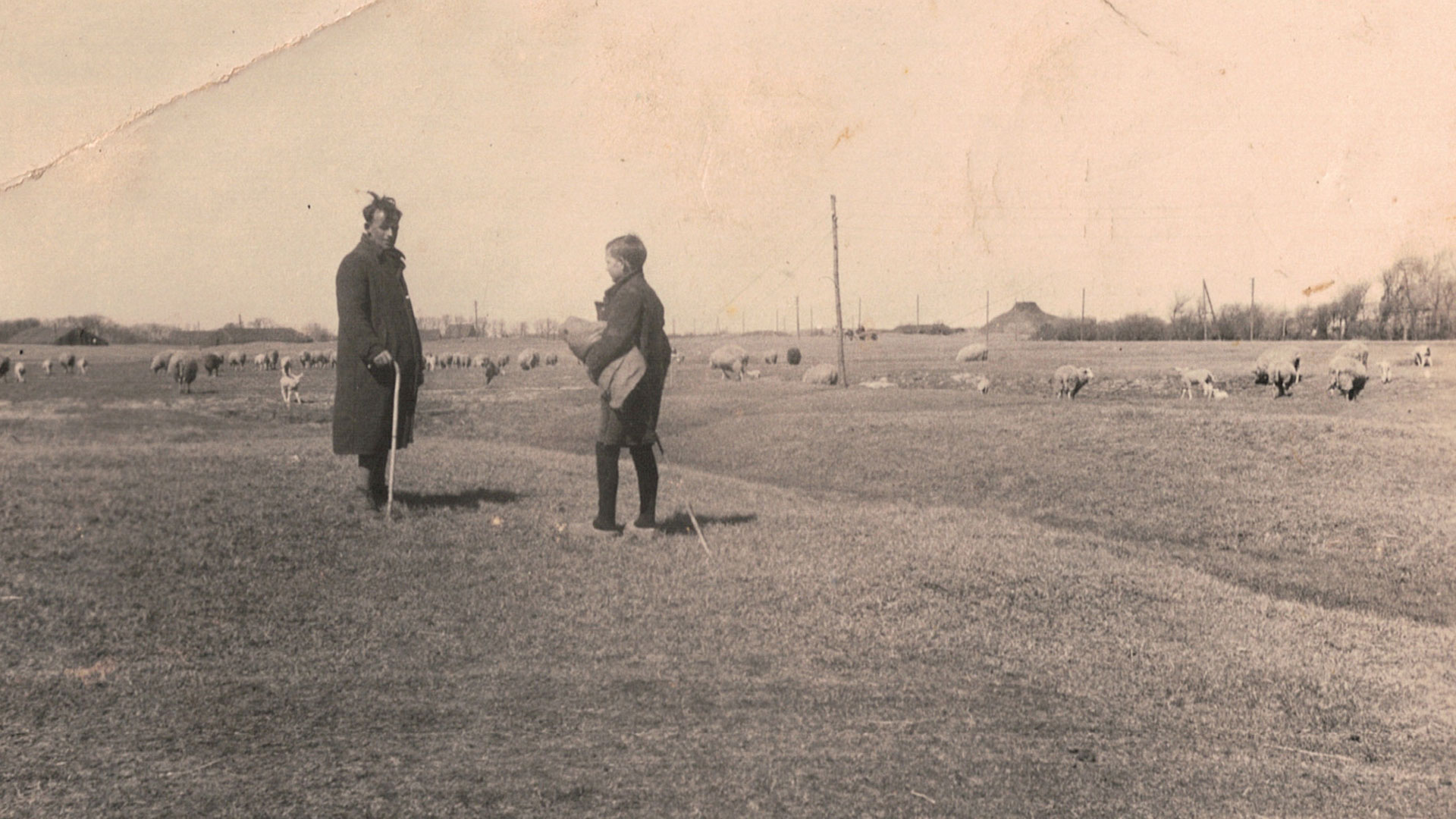Historische foto van schapenhoeder in de Westduinen bij Ouddorp