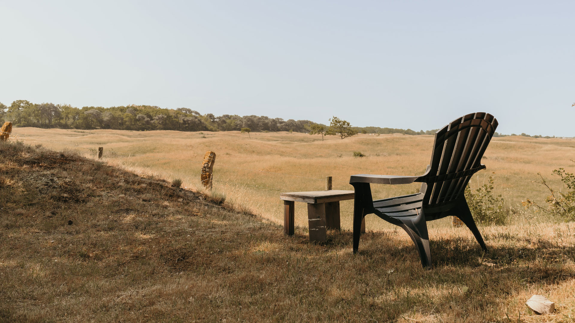 Zitplek met uitzicht op de Westduinen naast camping Kotestee in Ouddorp