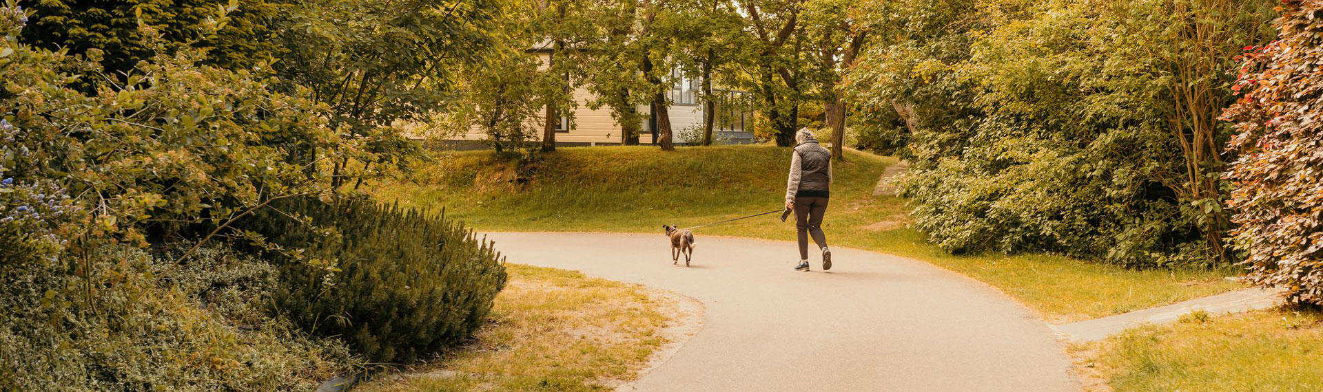 Gast wandelt met hond over wandelpad op camping Kotestee in Ouddorp